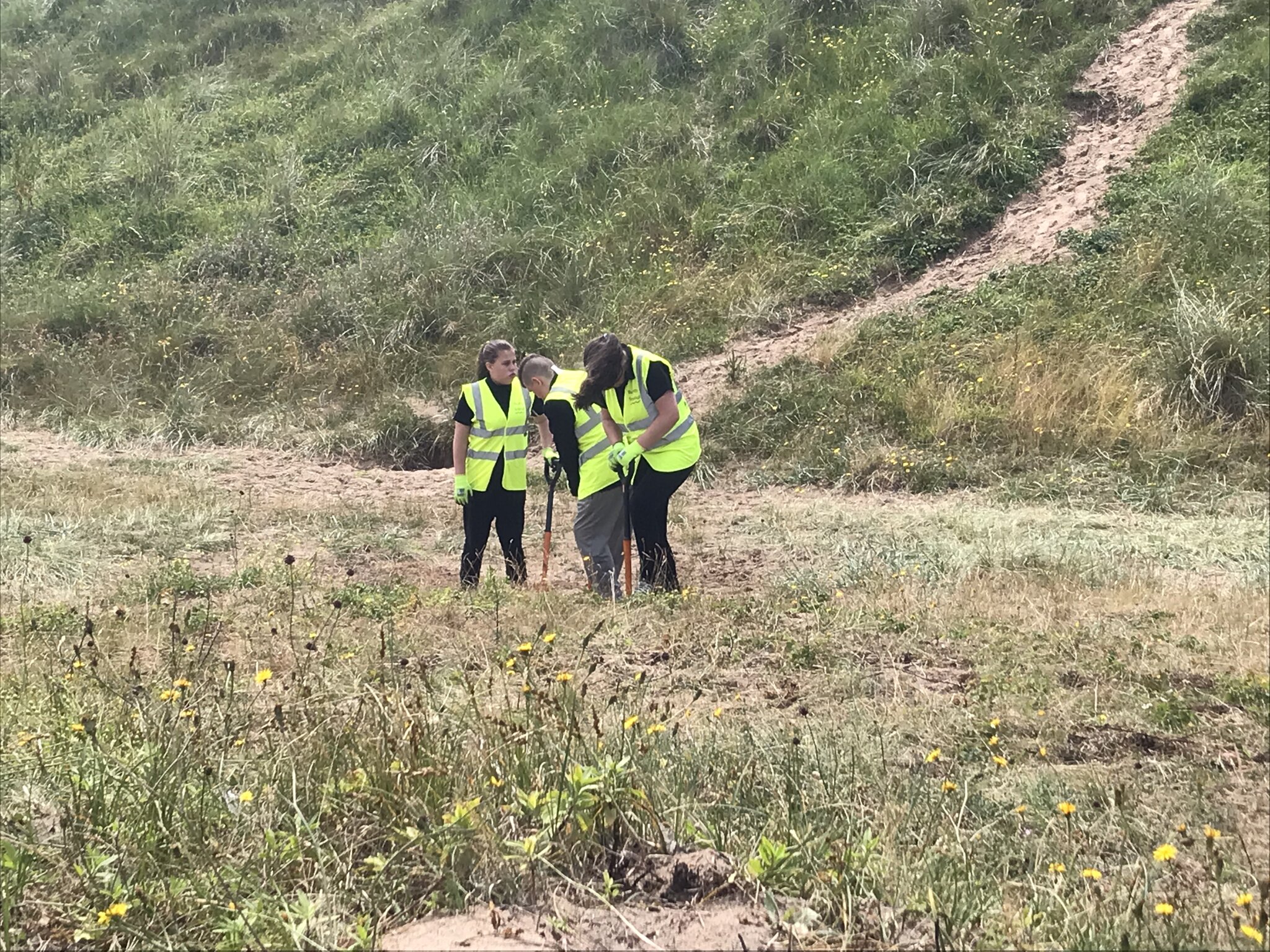 Image of Final Fylde Sand Dunes Project session