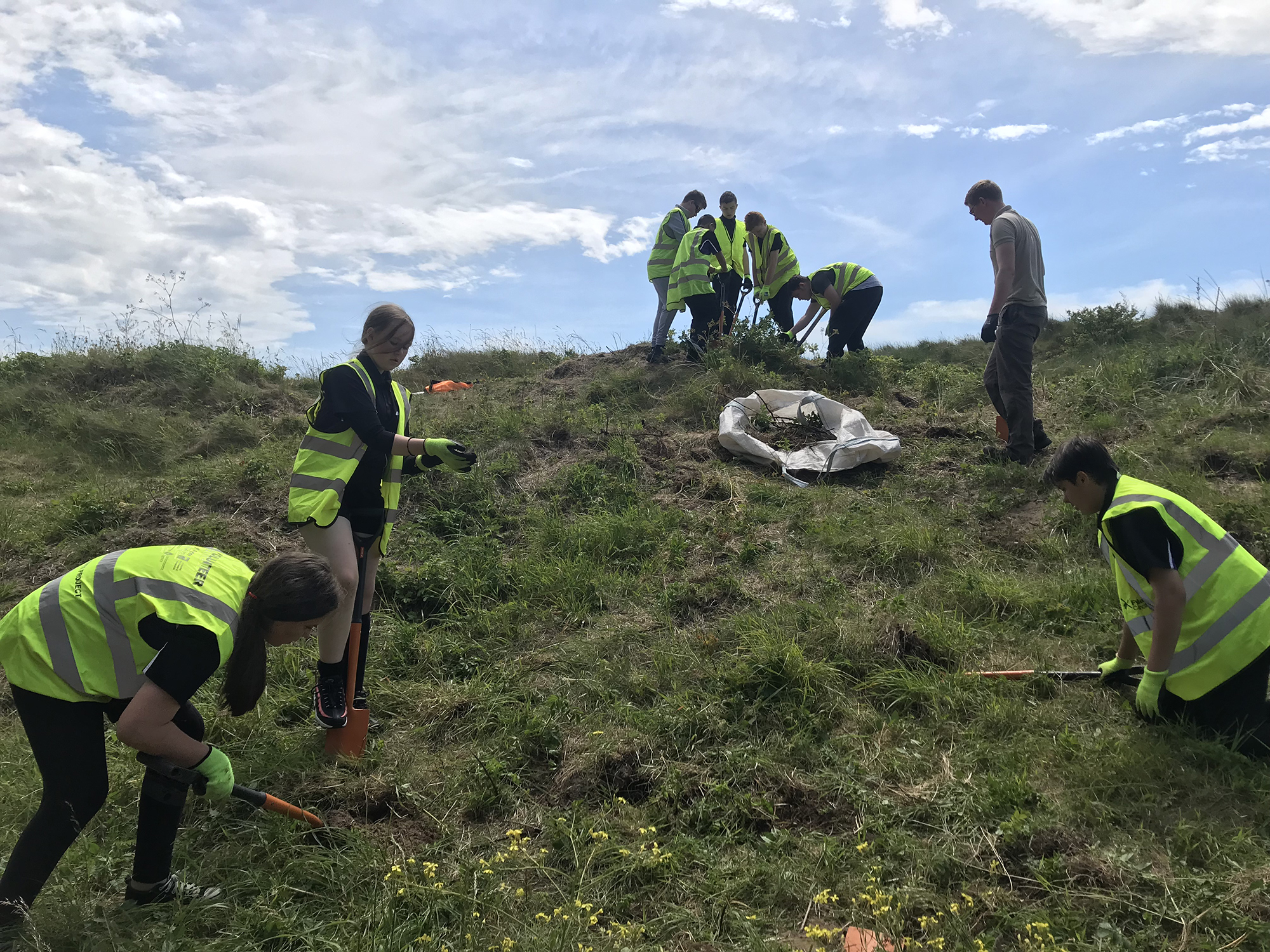 Image of Fylde Sand Dunes Project update