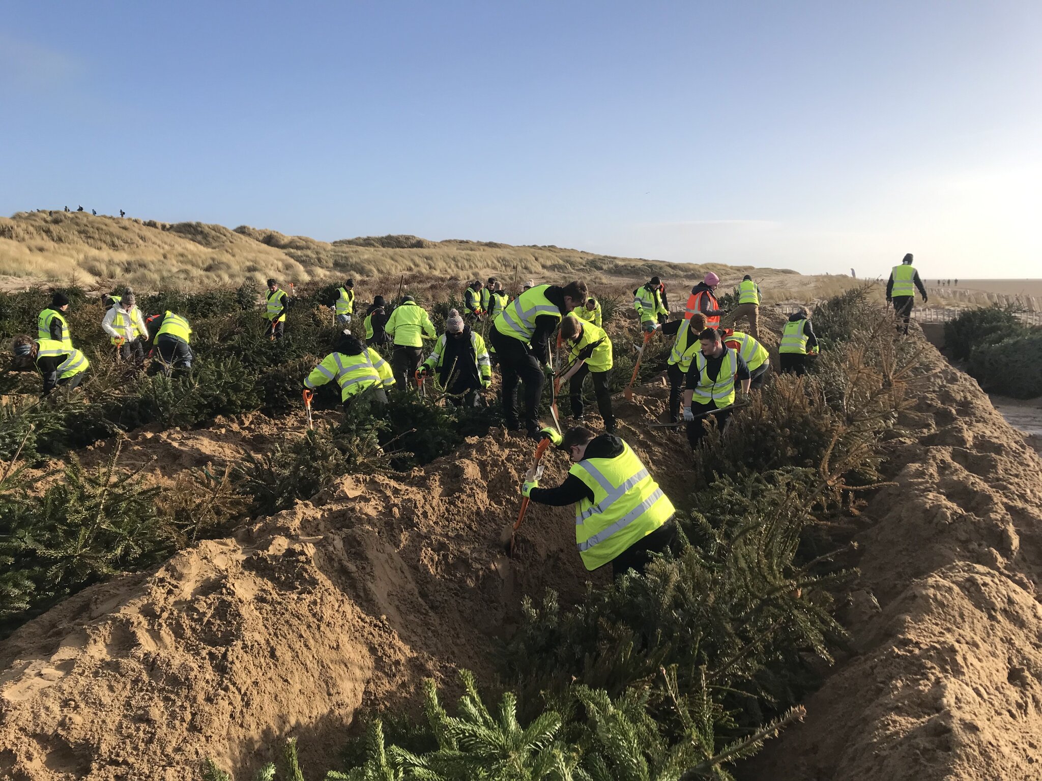 Image of Fylde Coast sand dune project