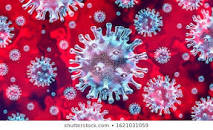 Image of Coronavirus (COVID-19) updates