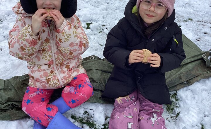 Image of Forest School Fun