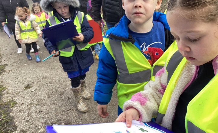 hunting for the first signs of spring