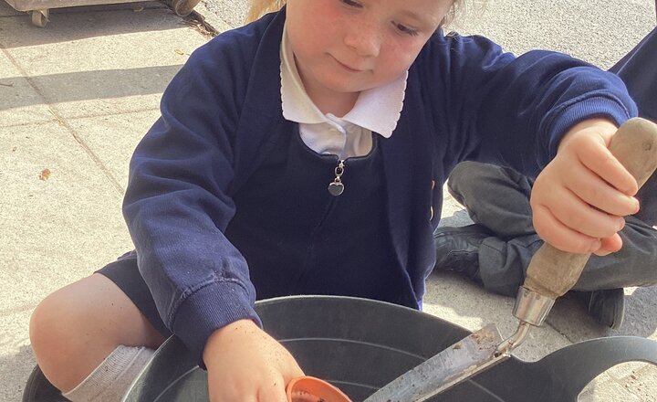 Class 2 get busy growing their very own seeds!