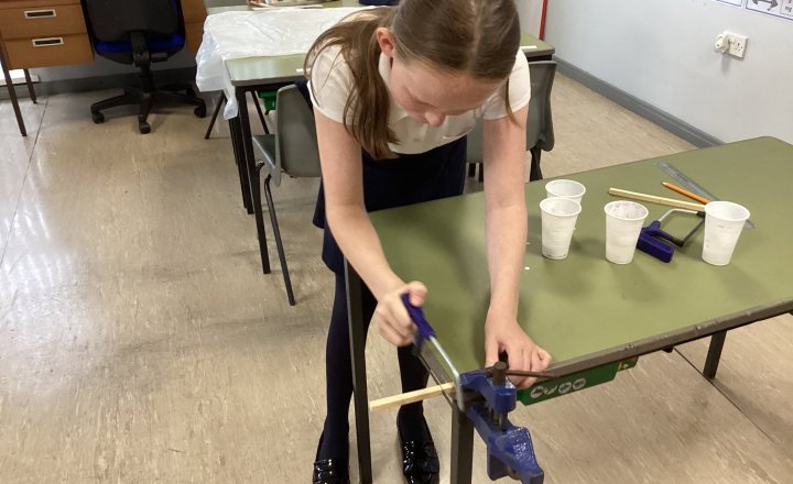Image of Class 4 Begins Building Model Bird Hides in Design and Technology