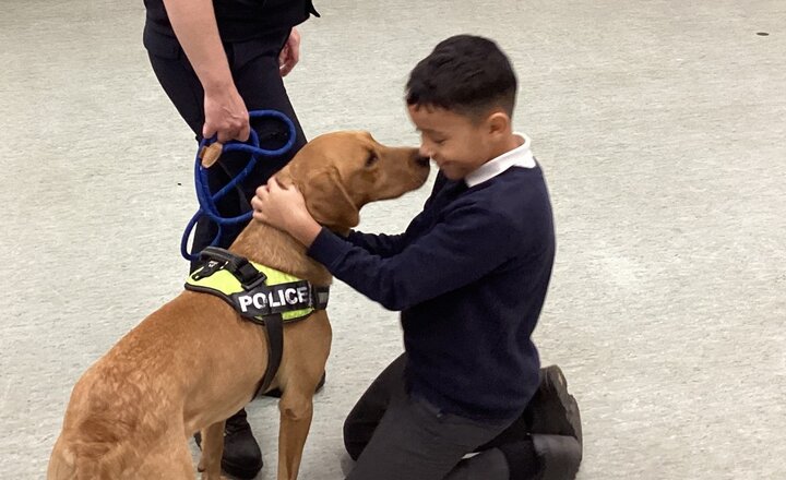 Image of A Visit from the Police and Ben the Puppy