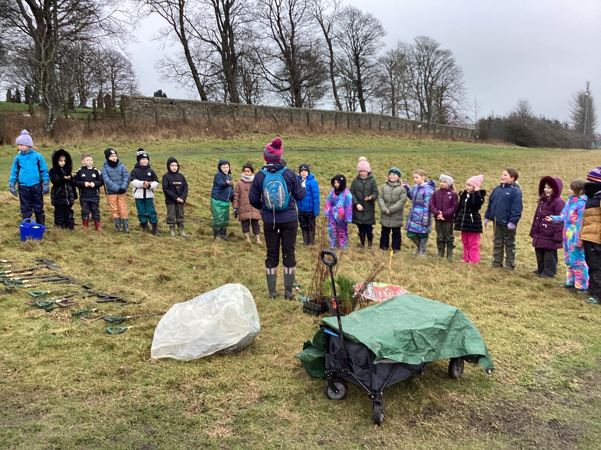 Tree Planting Tow Law