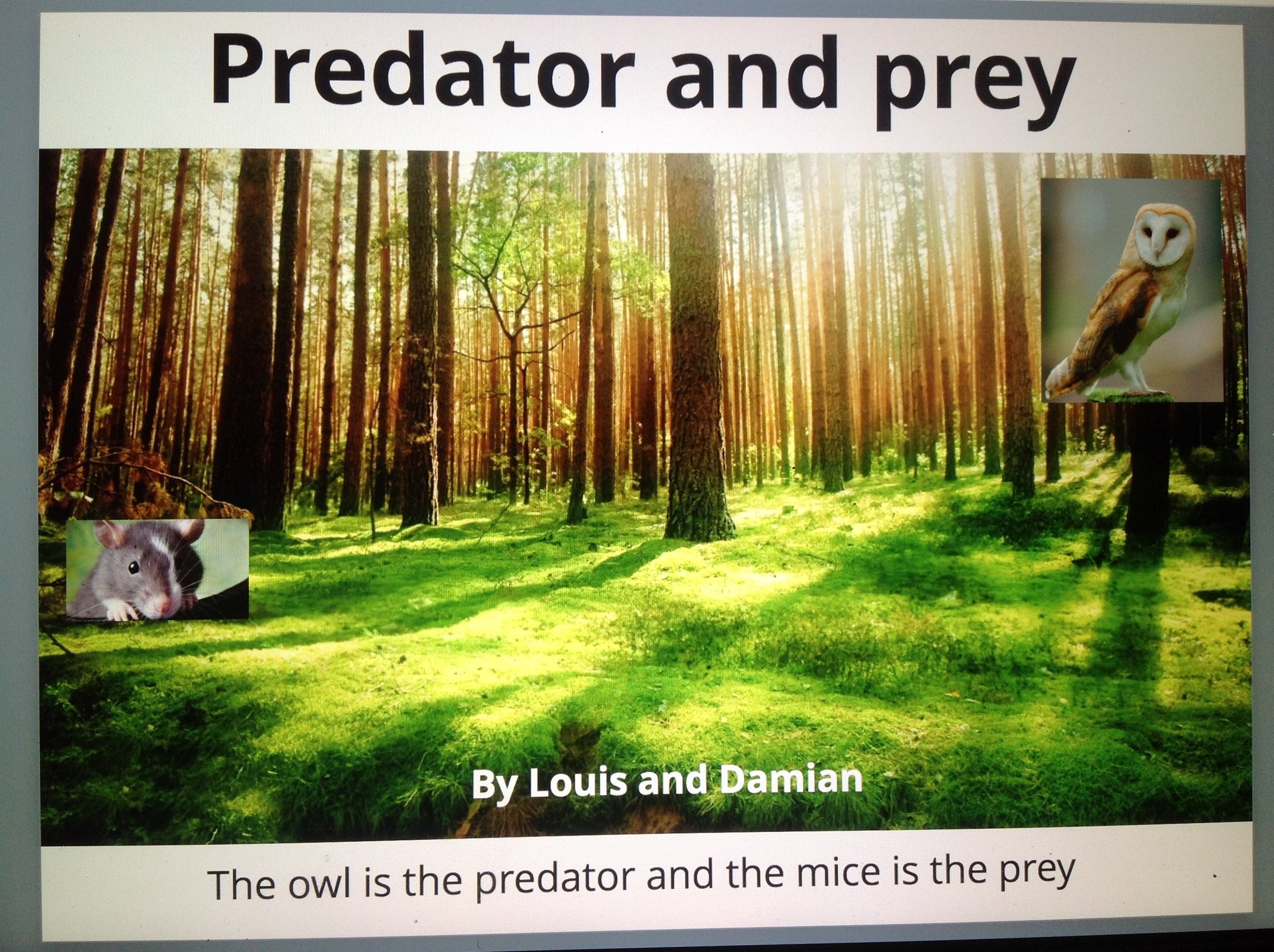 Image of Predator and Prey!