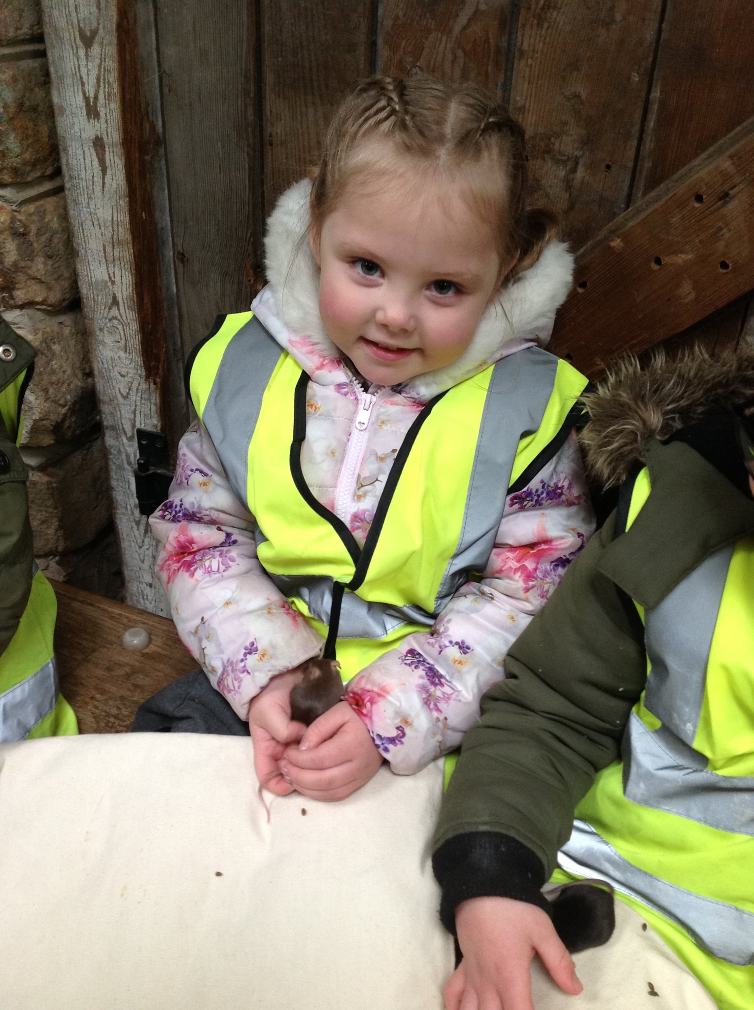 Image of Year 1 Visit Lancaster Farm