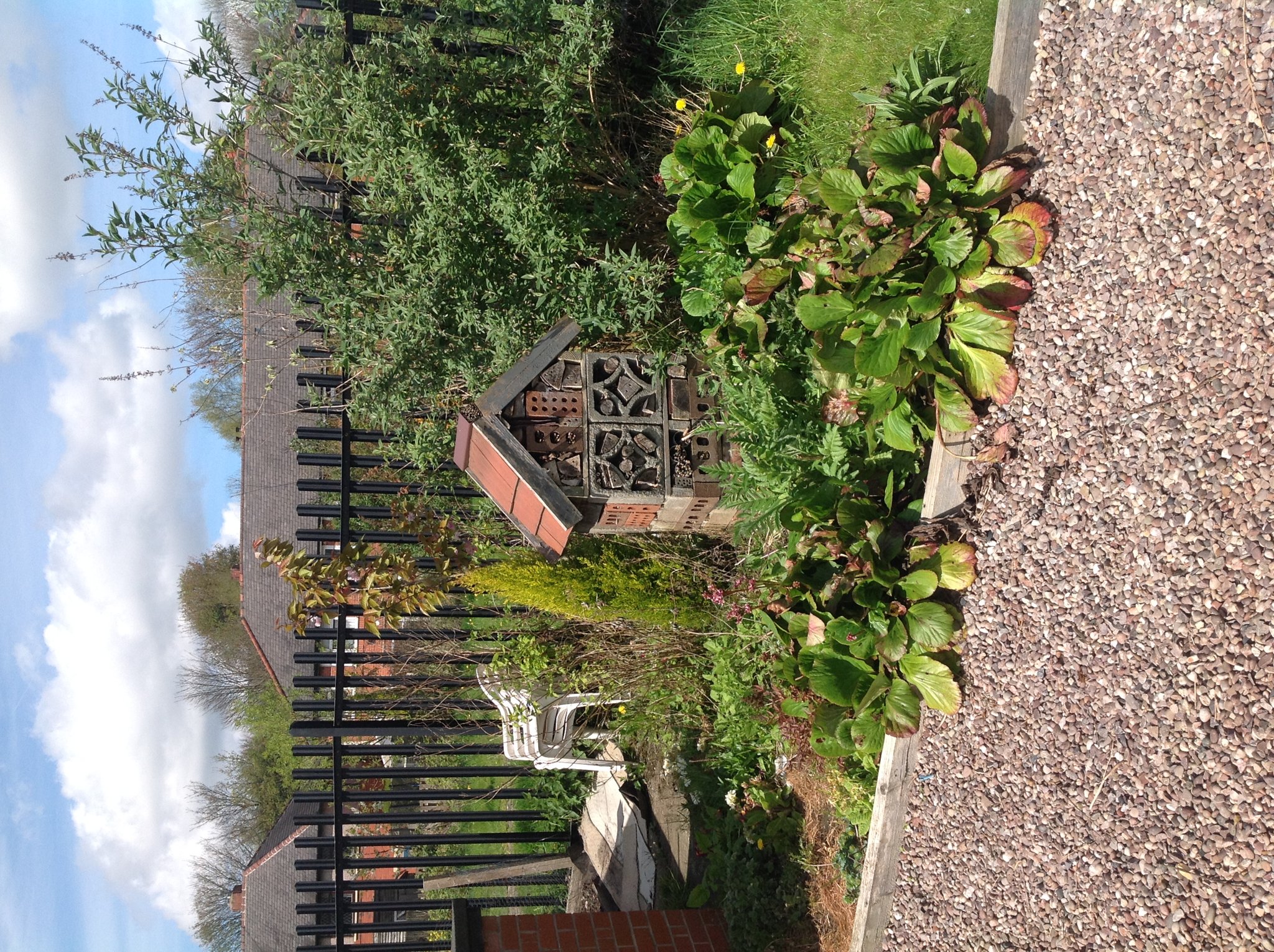 Image of Allotment Visit