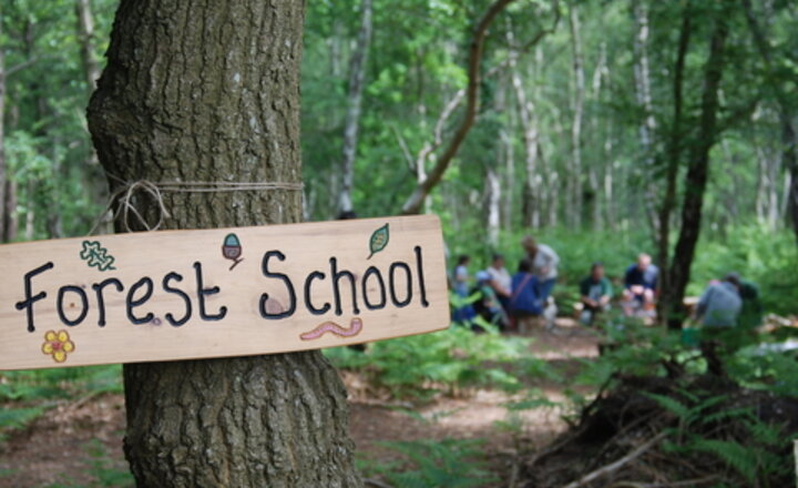 Image of Year 3 Forest School Change