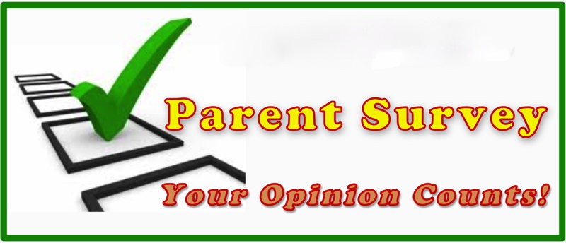 Parent survey results | Bradley Green Primary Academy