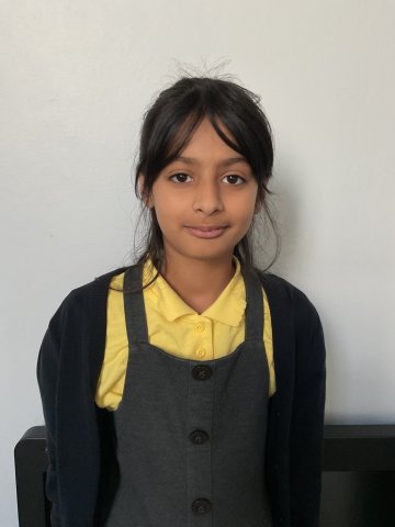 Ayesha Ali 6C  