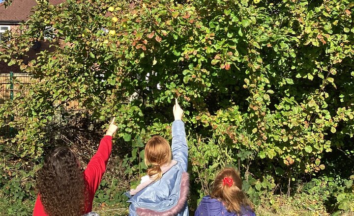 Image of Year 4 Takes Learning Outdoors for Science Exploration