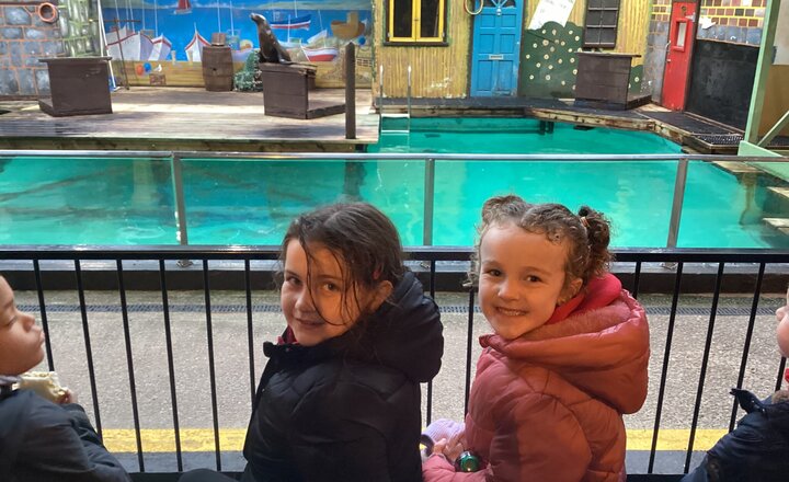 Image of Year 2’s Adventure at Knowsley Safari Park