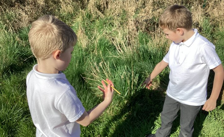 Image of Spotting Signs of Spring in Year 1