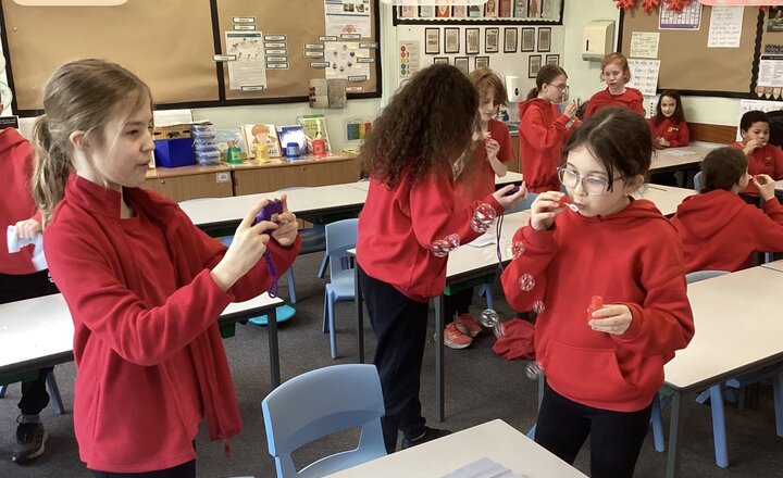 Image of Year 5 Dive into a Week of Scientific Discovery