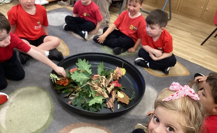 Image of Seasonal Discoveries in the Hive – Reception’s Nature Adventure