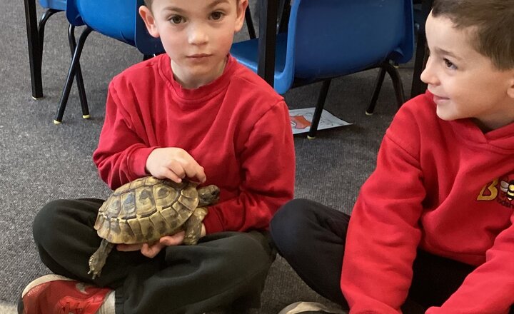 Image of A Special Visit from Charlie the Tortoise!