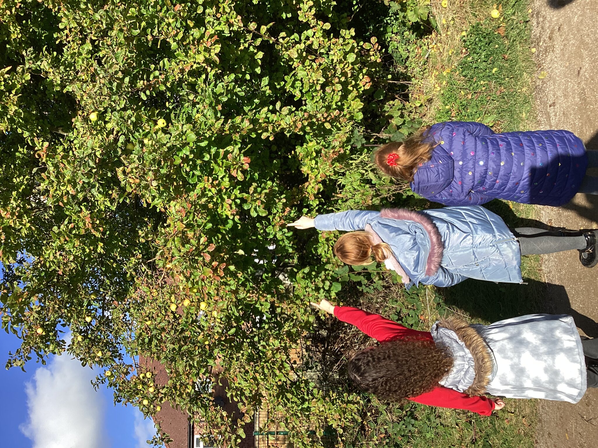 Image of Year 4 Takes Learning Outdoors for Science Exploration