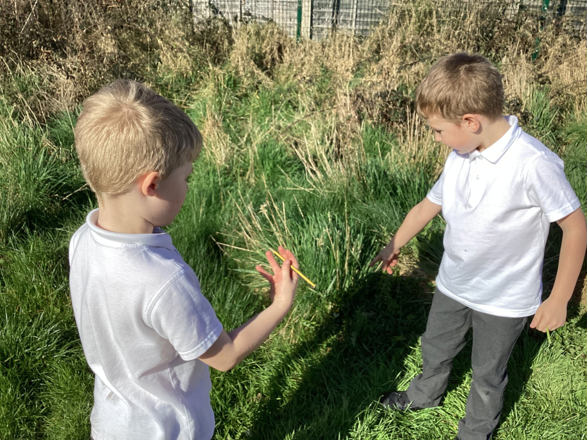 Image of Spotting Signs of Spring in Year 1