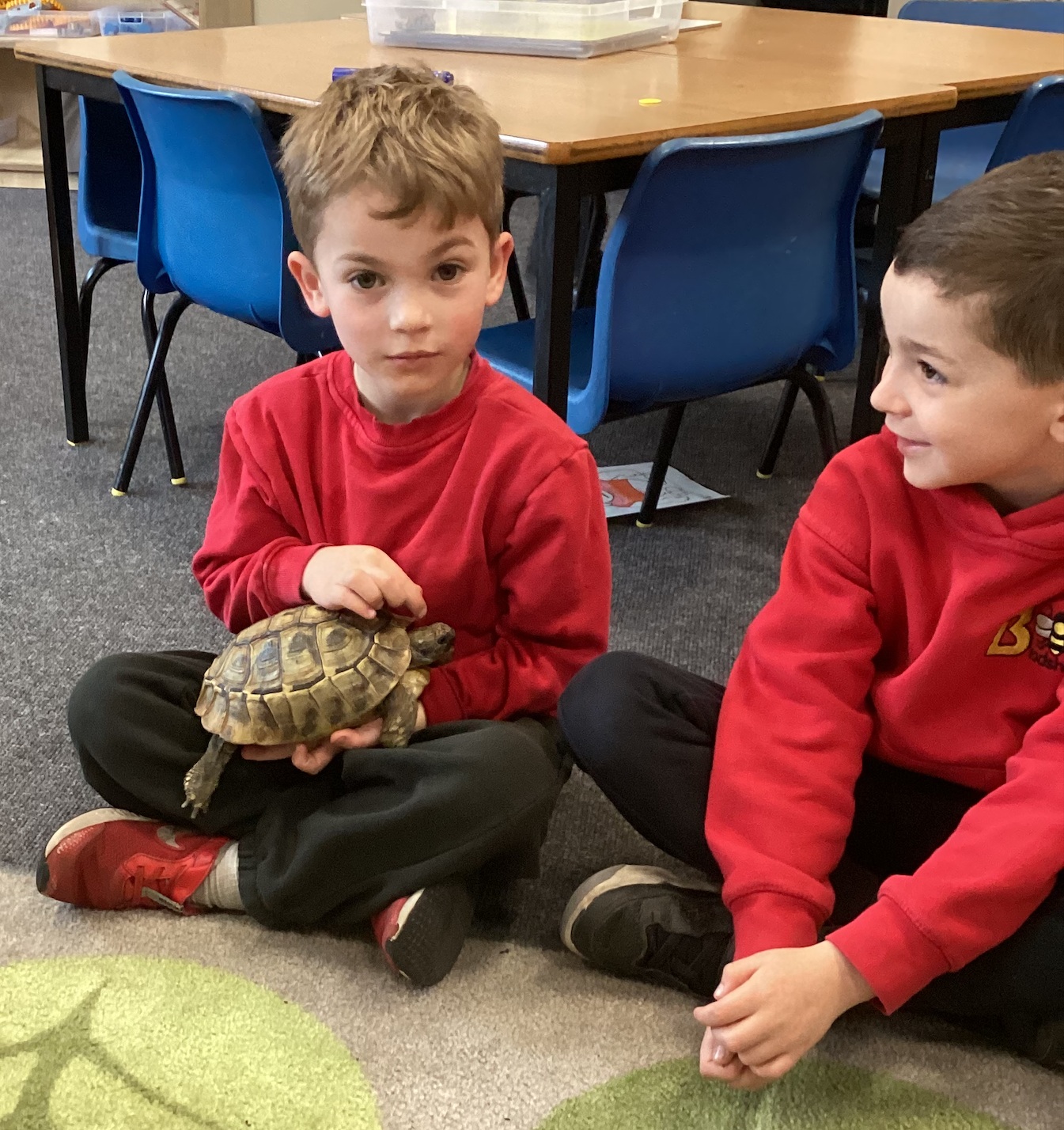 Image of A Special Visit from Charlie the Tortoise!