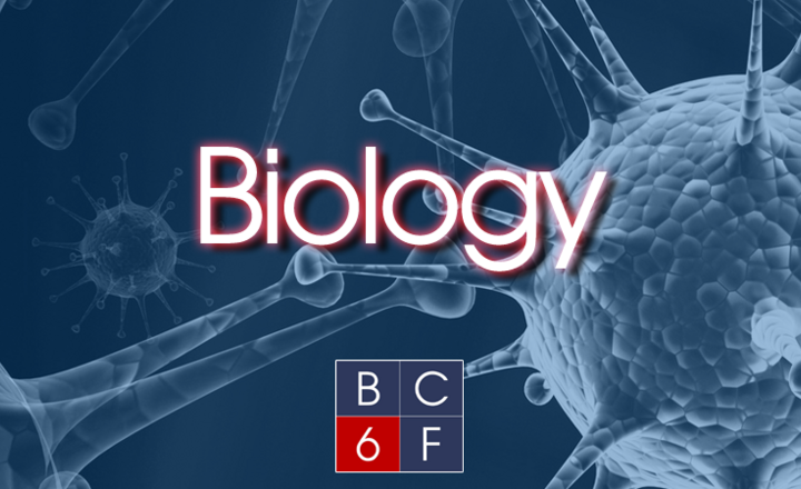 Image of Biology