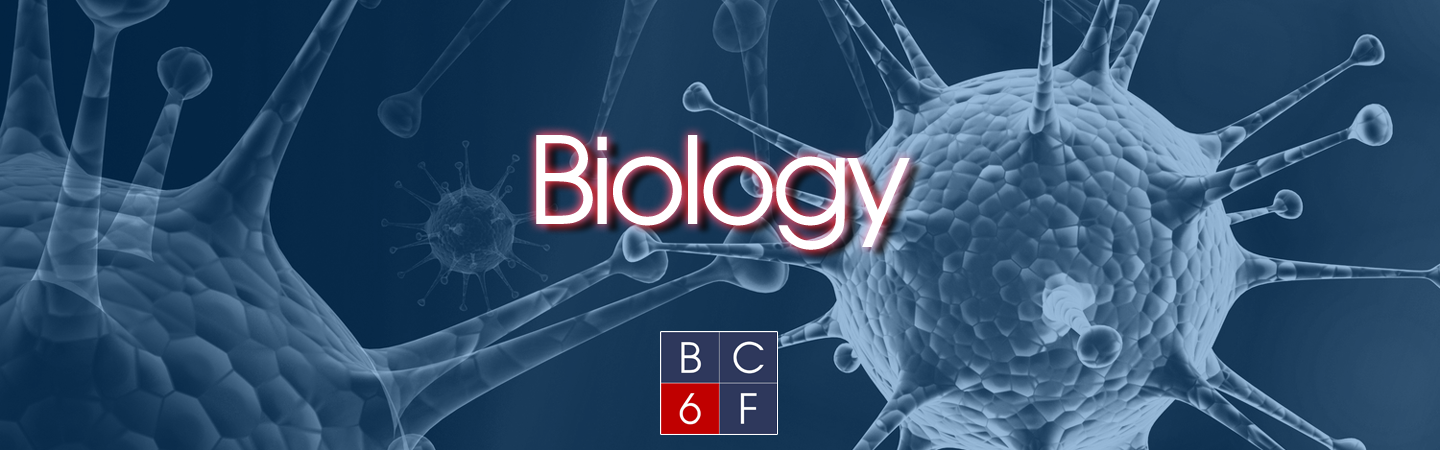 Image of Biology