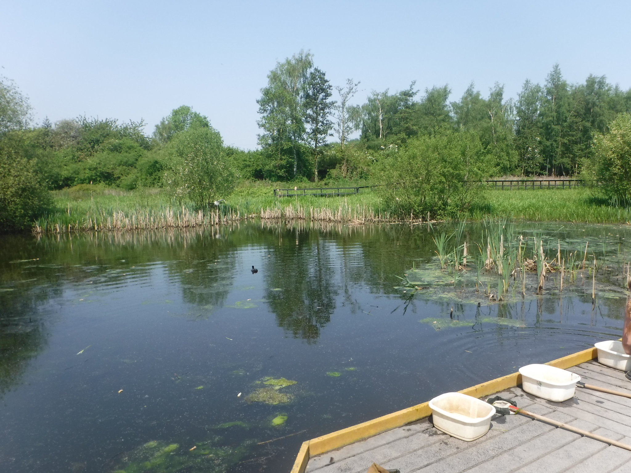 Image of Fairburn Ings