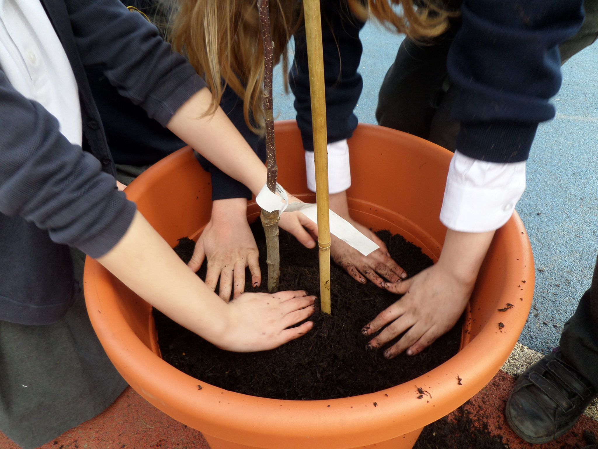 Image of Making our playground more green!