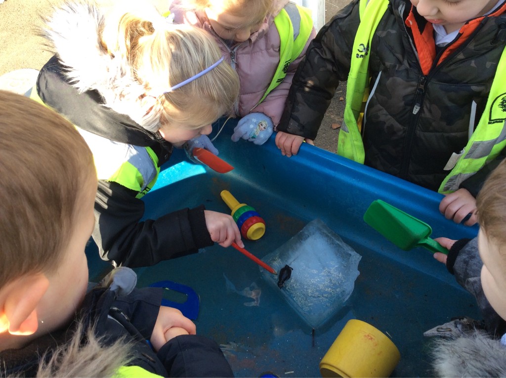 Image of Rescuing a penguin from the ice!