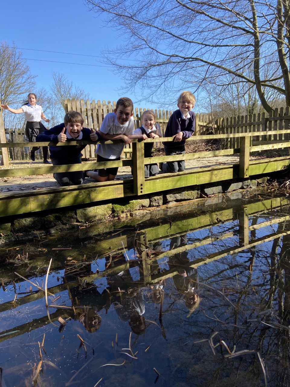 Image of Finding frogspawn