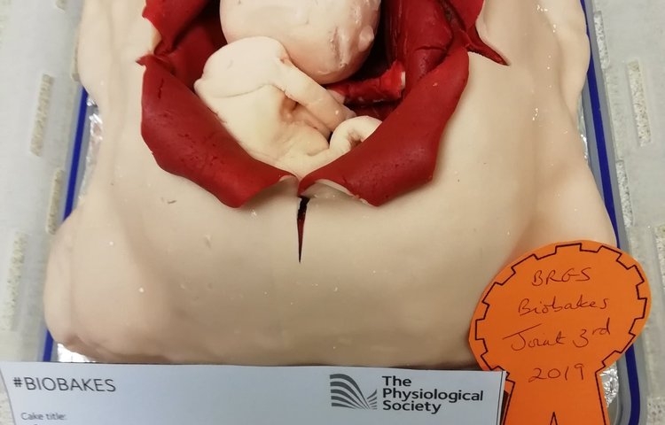 Image of BioBakes 2019