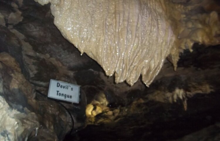 Image of Ingleborough Field Trip