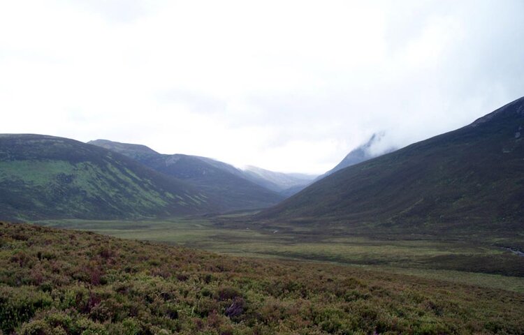 Image of Gold Assessment, July 2008