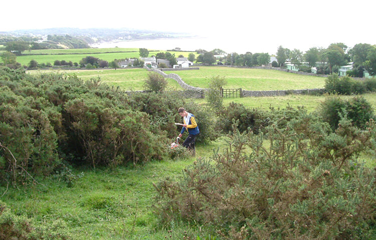 Image of The Lancashire Schools League