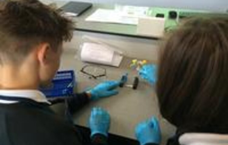 Image of A taste of 6th form science