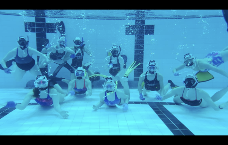 Image of Underwater Hockey World Championships 