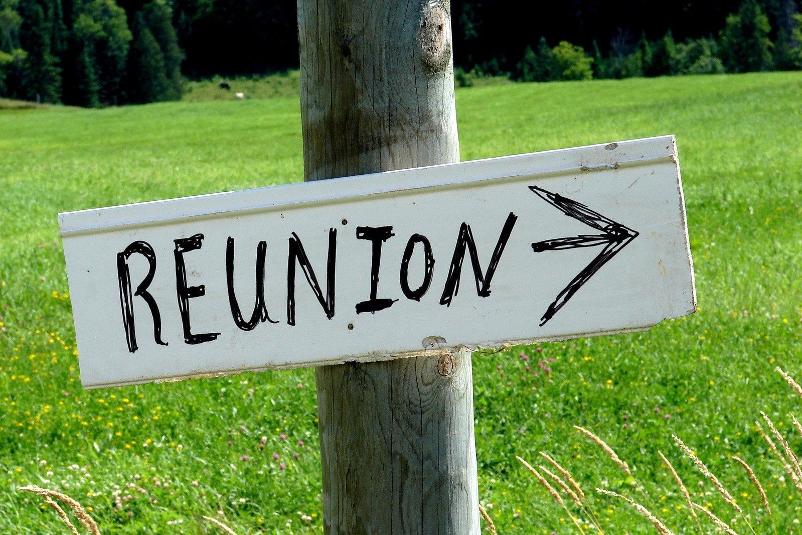 Image of BRGS Reunion 