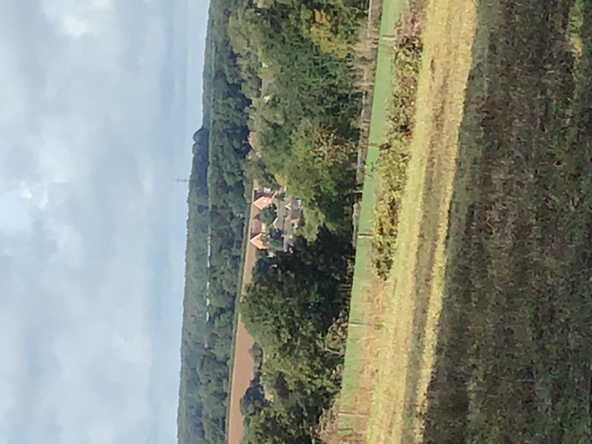 Image of Year 1 field trip around village