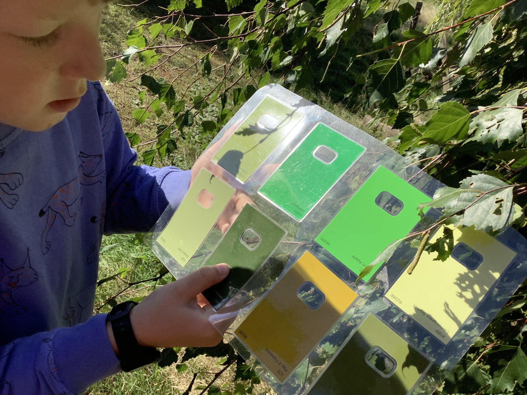 Image of Forest School Term 1 Year 3 2026-2027