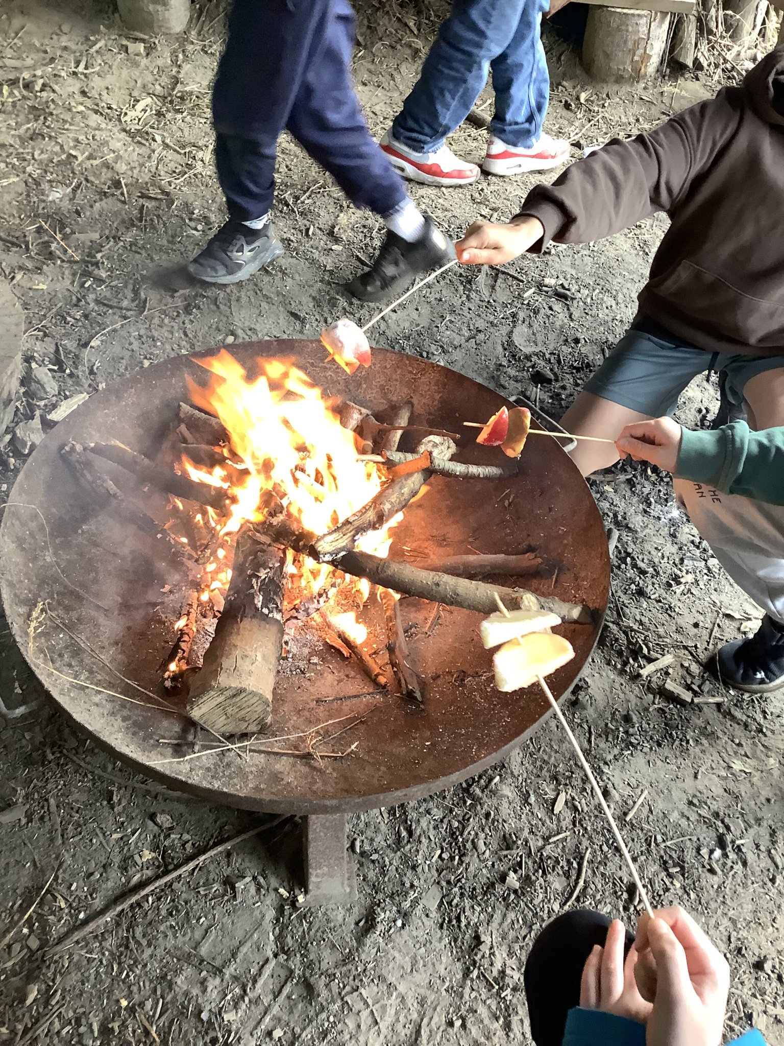 Image of Forest School Term 1 Year 6 2026-2027