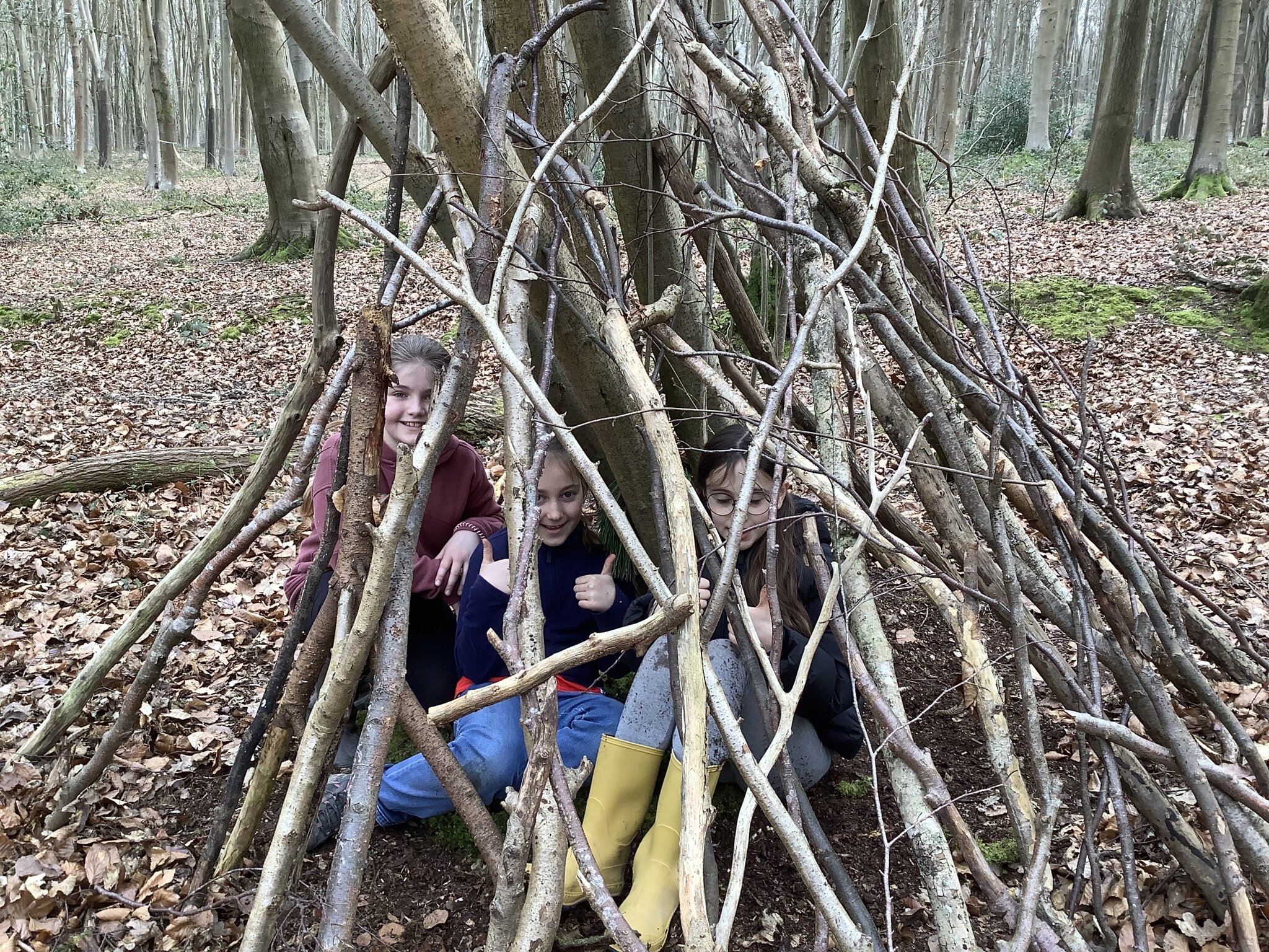 Image of Year 4 Forest School  Trip March 2025