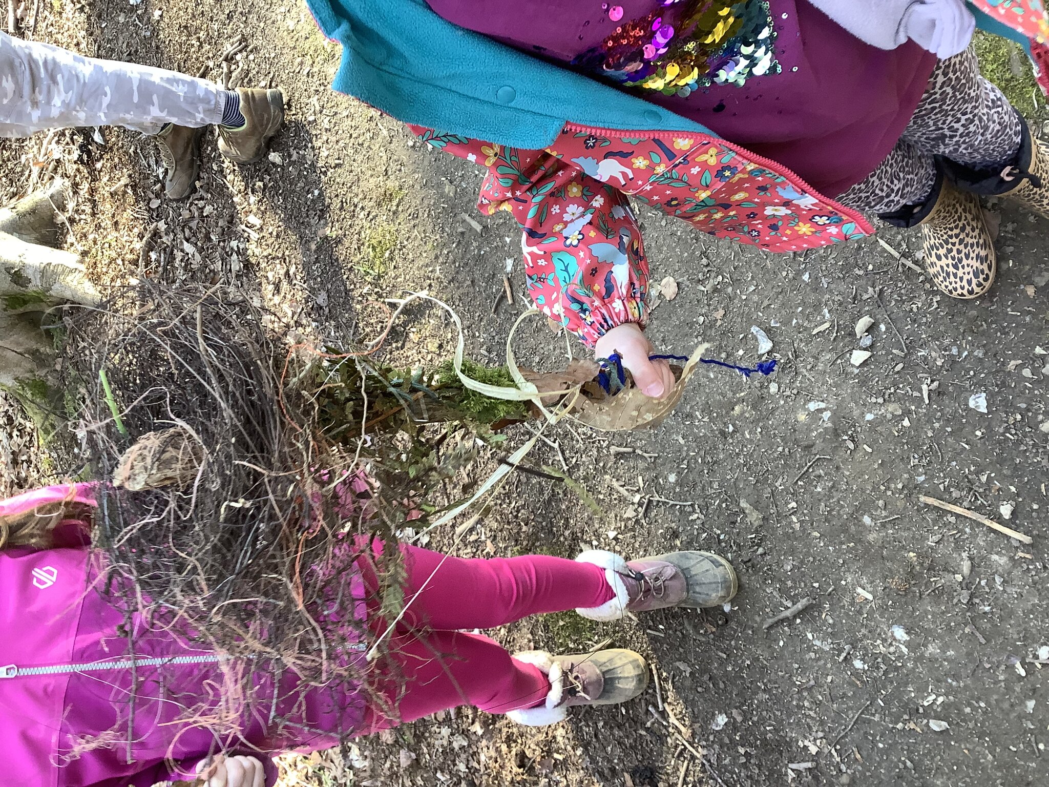 Image of Year 3 Forest School Term 4 2024-2025