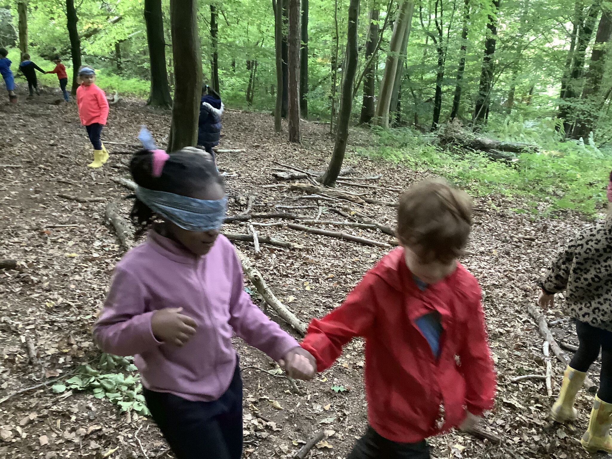 Image of Forest School Trip Covert woods Year 1 October 2025
