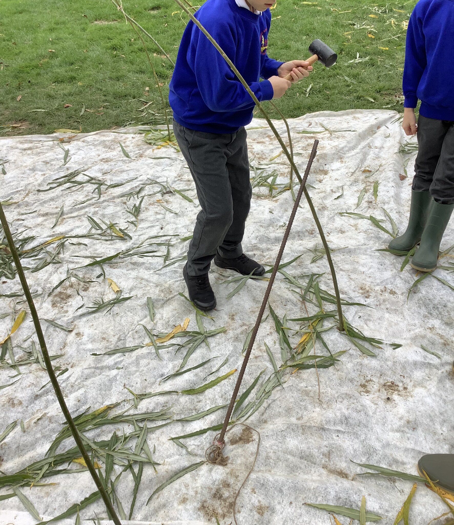 Image of Willow dome building