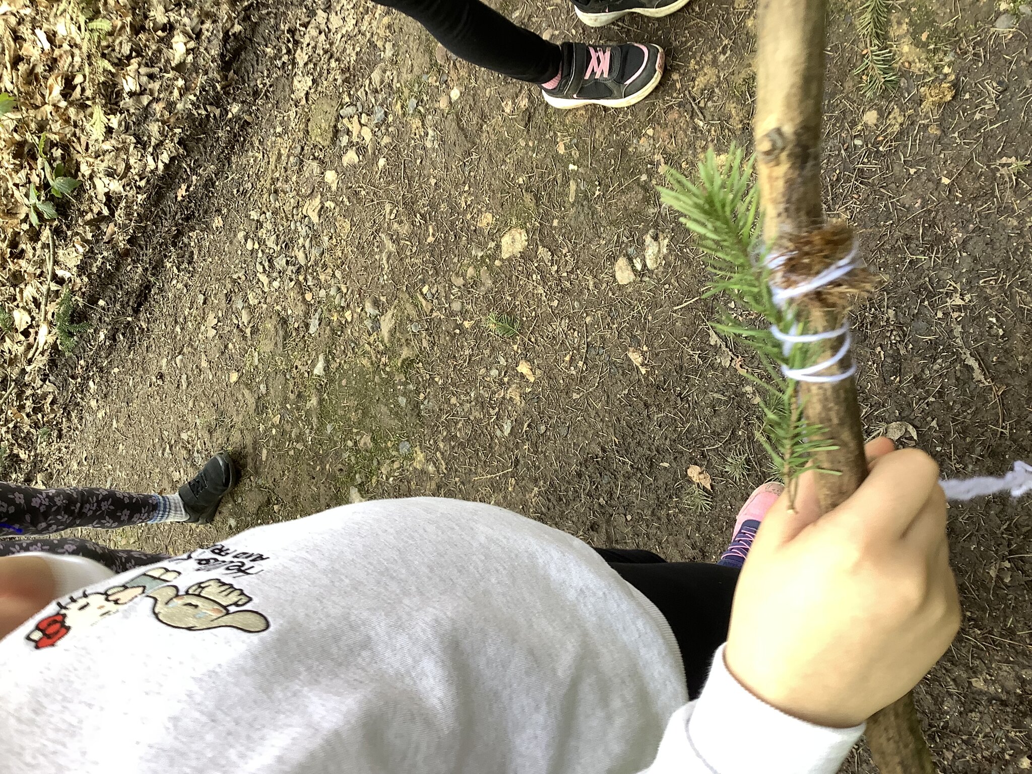 Image of Woodland trip Year 3 March 2026