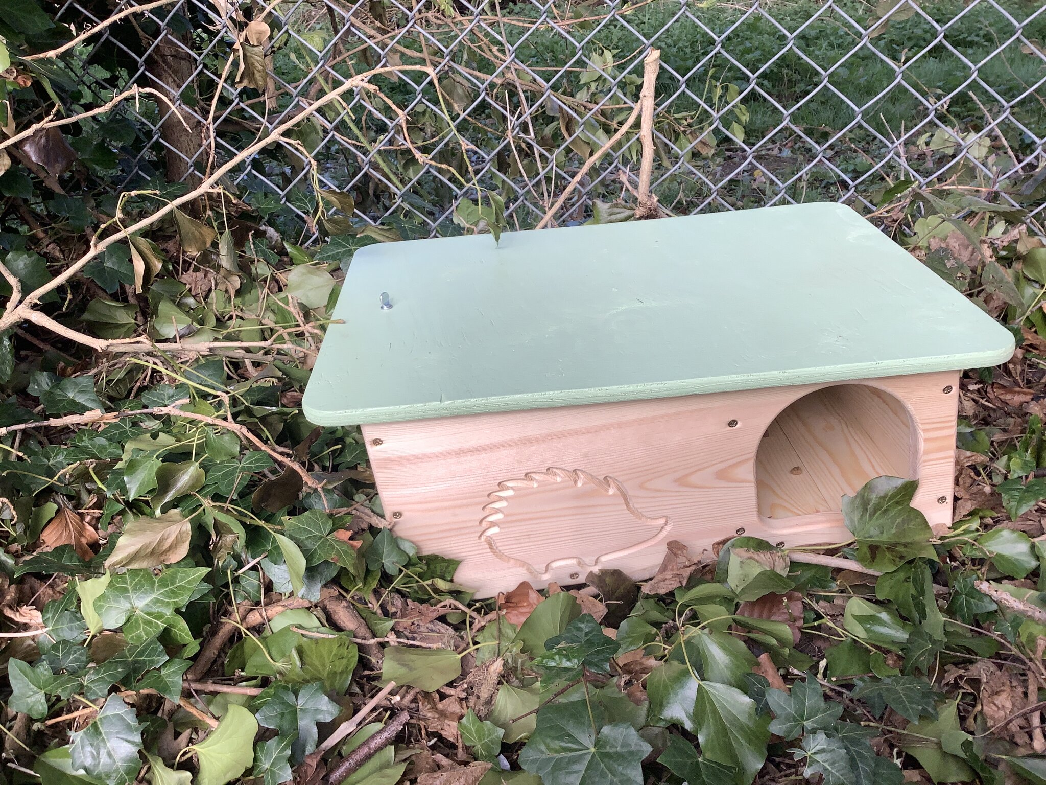 Image of Year 1 Forest School Term 4 2025-2026