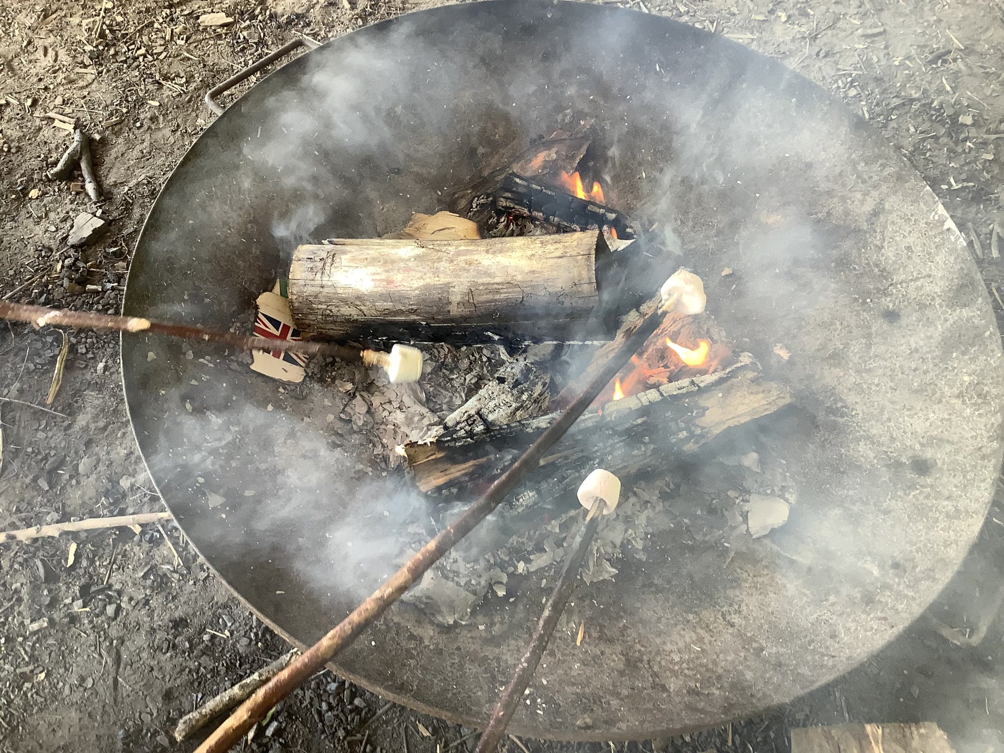 Image of Year R Forest School Term 5 2025-2026