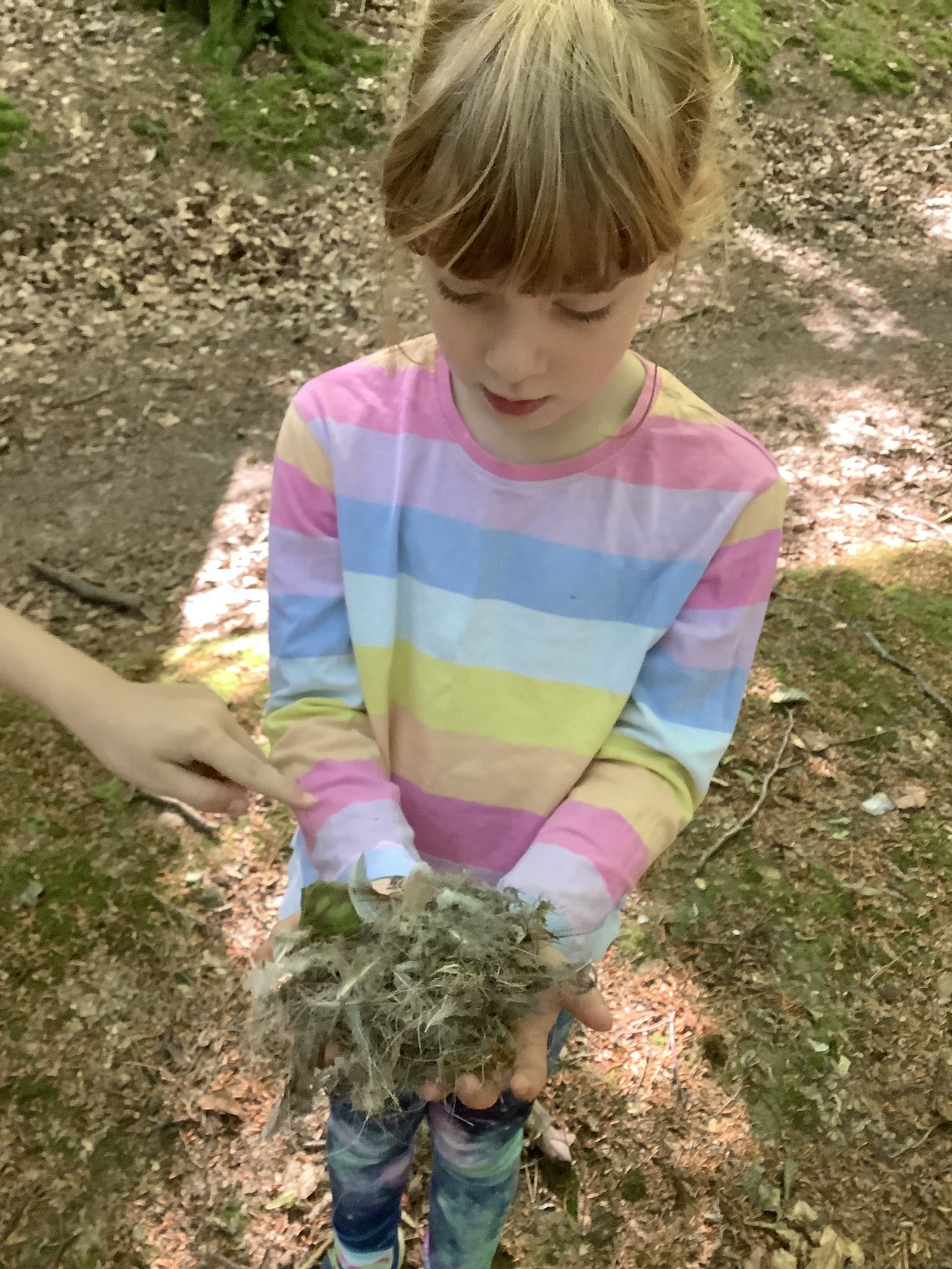 Image of Woodland trip Year 3 June 2026