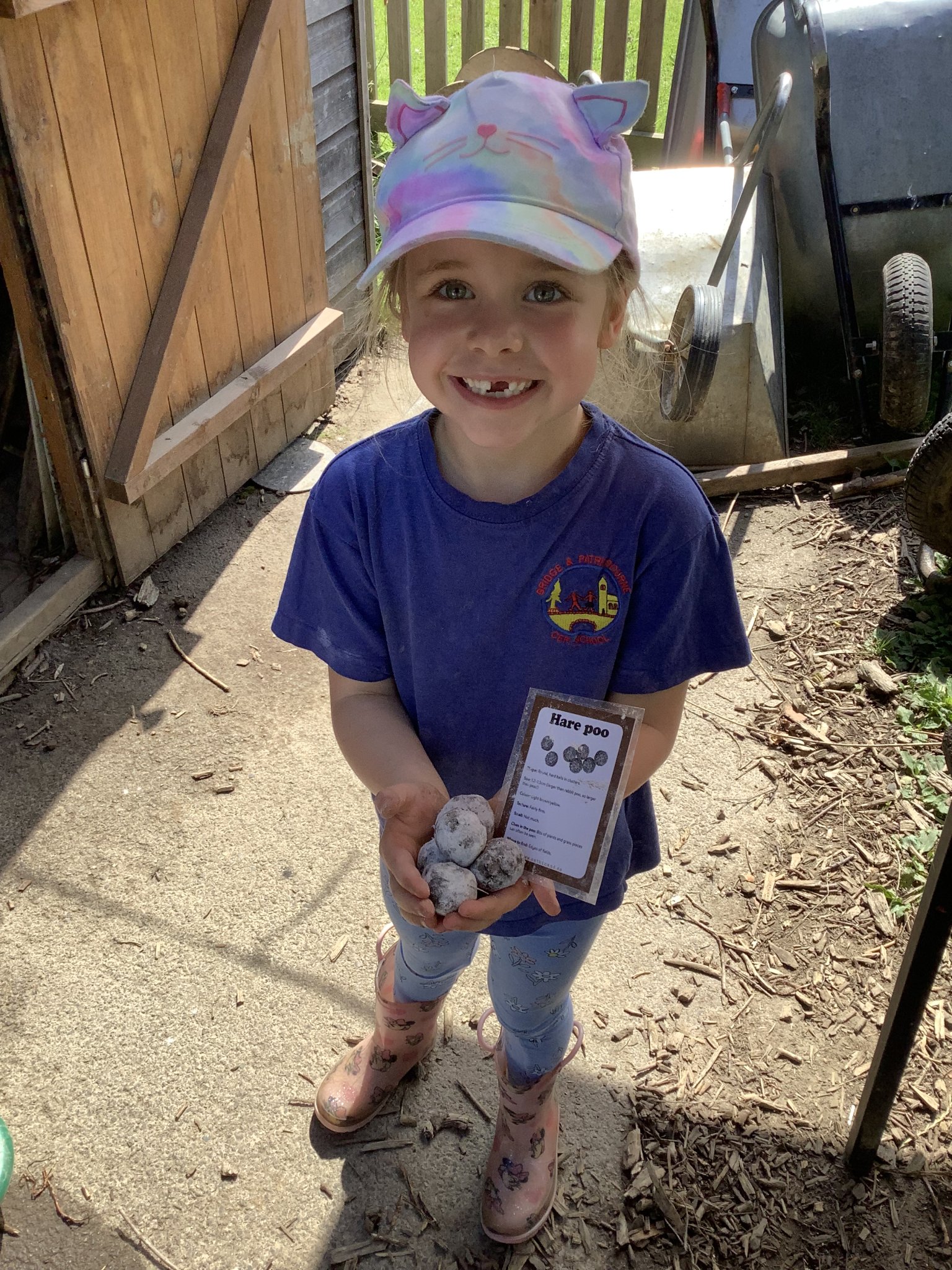 Image of Year R Forest School Term 6 2025-2026